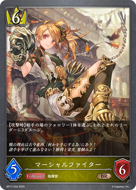 マーシャルファイター