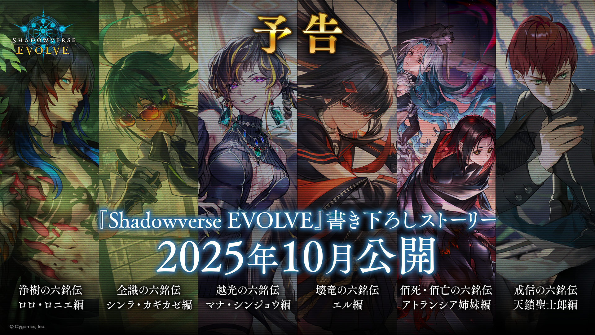 【未開封】シャドウバースEVOLVE 2025限定セット　24時間以内発送 Shadowverse EVOLVE スペシャルスターターセット 2025