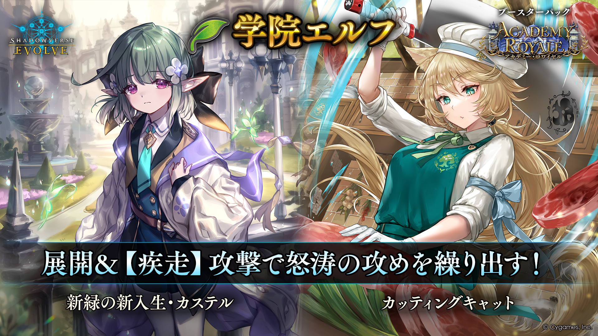アカデミーロワイヤル　エルフ　ほぼ3コン シャドウバース エボルヴ アカデミー・ロワイヤル エルフ lg以下 ほぼ3